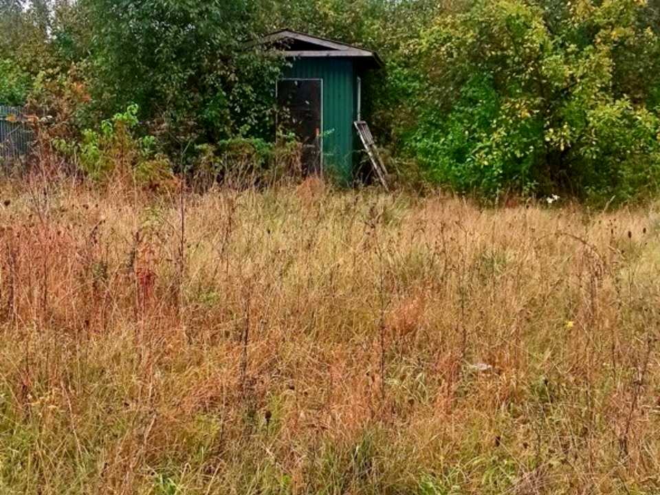 1870224503799723