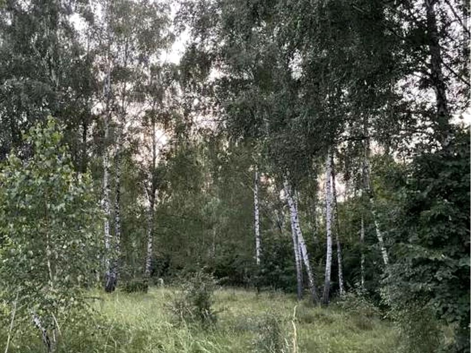 1870334451605518