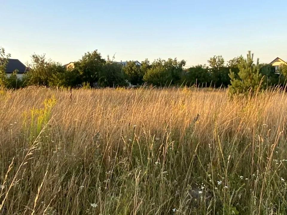 1870339044356545