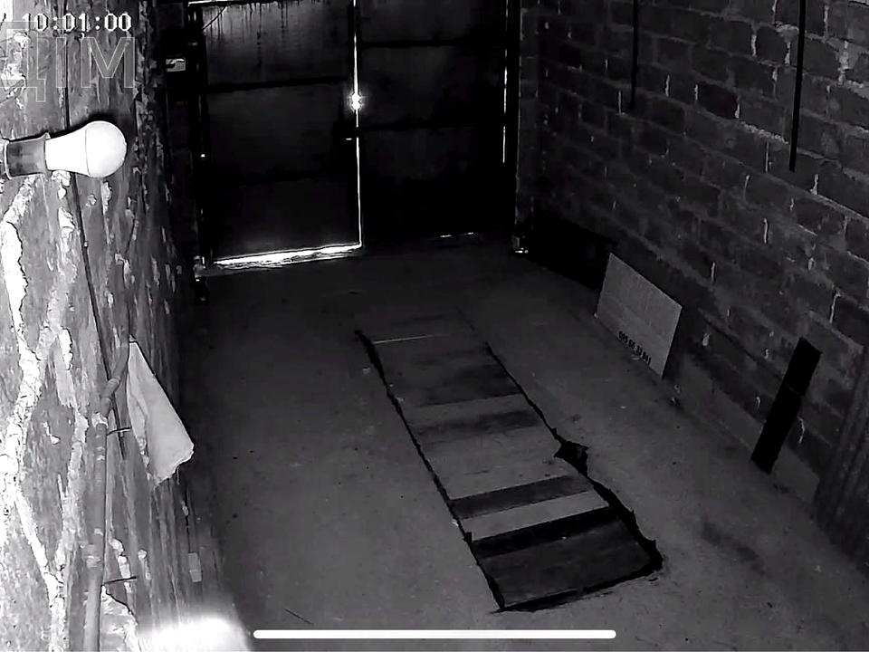 1870490376344433.jpg