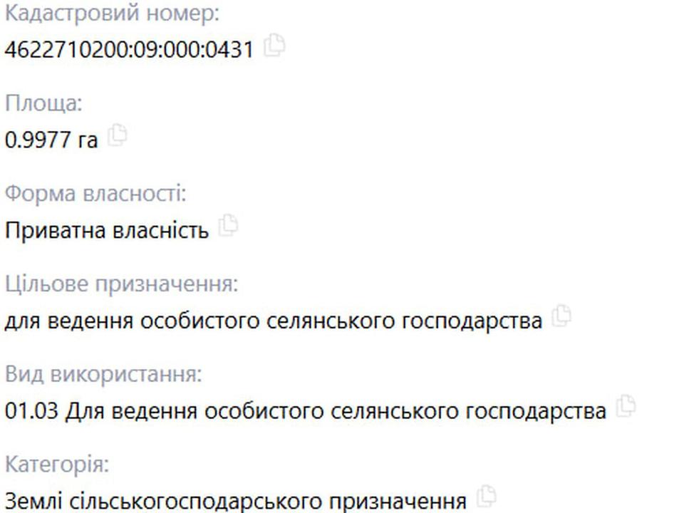 1870696990002312.jpg
