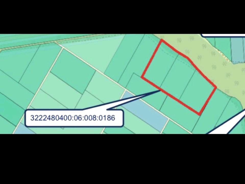1870799055396634