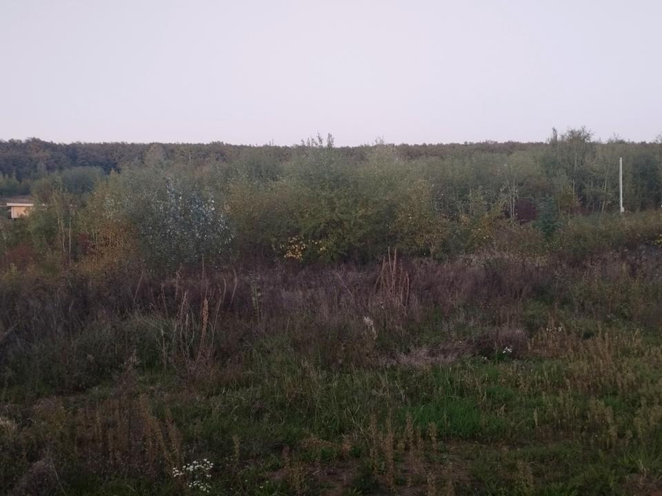 1871312378003281