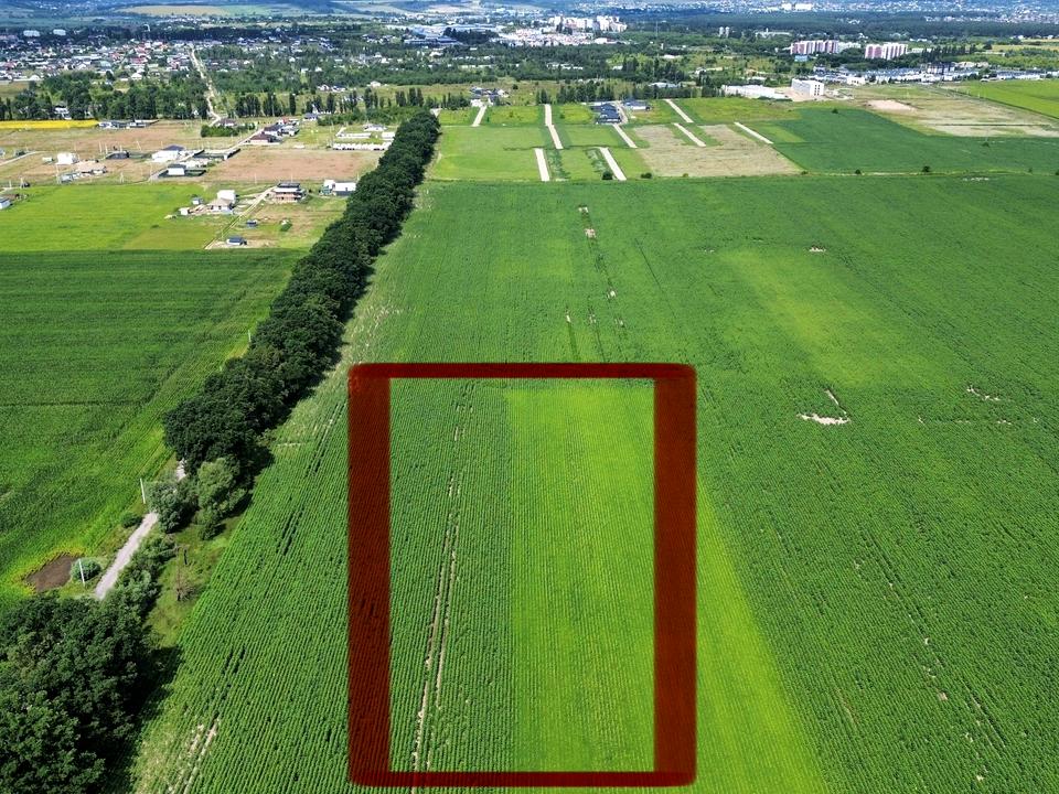 1871351413392450