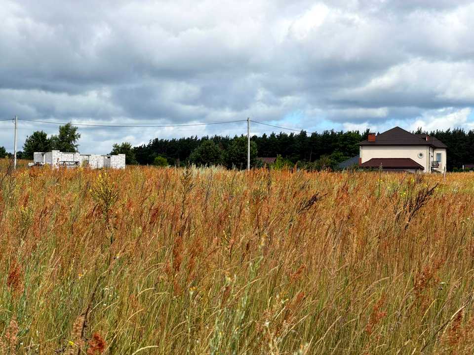 1871943947987620