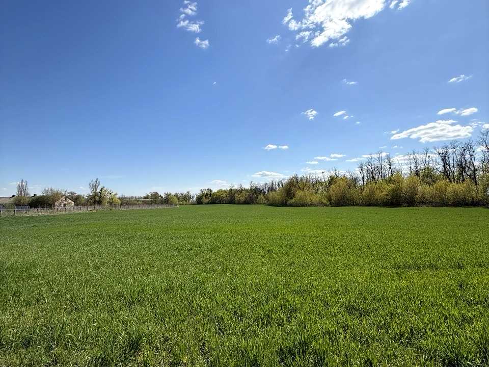 1871958364971377