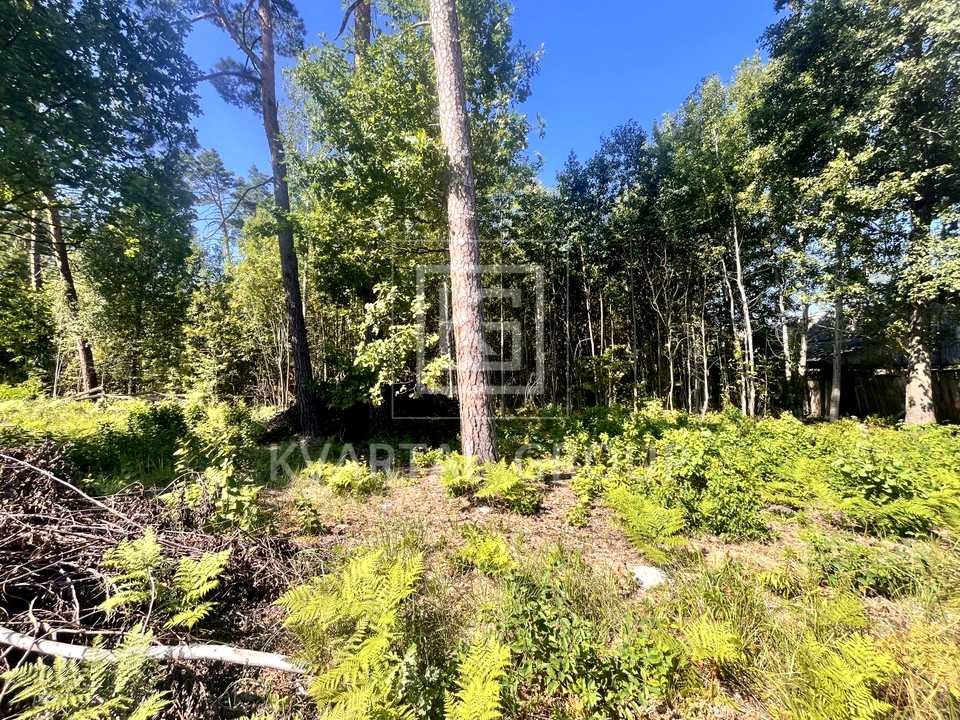 1871970415217439