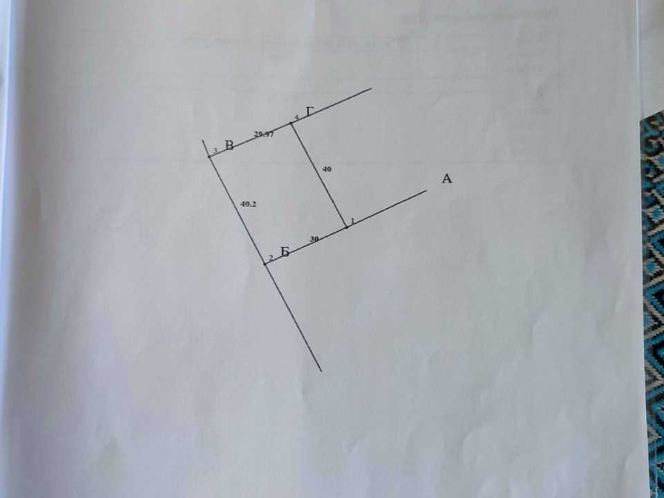 1872223167883590.jpg