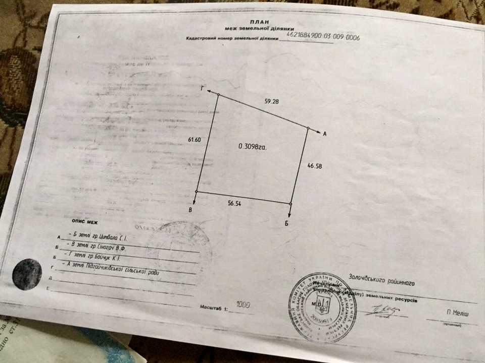 1872223234751224.jpg