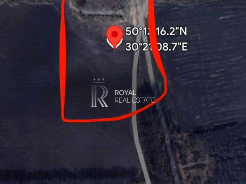 1872251263933154