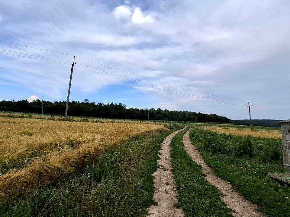 1872606786306461