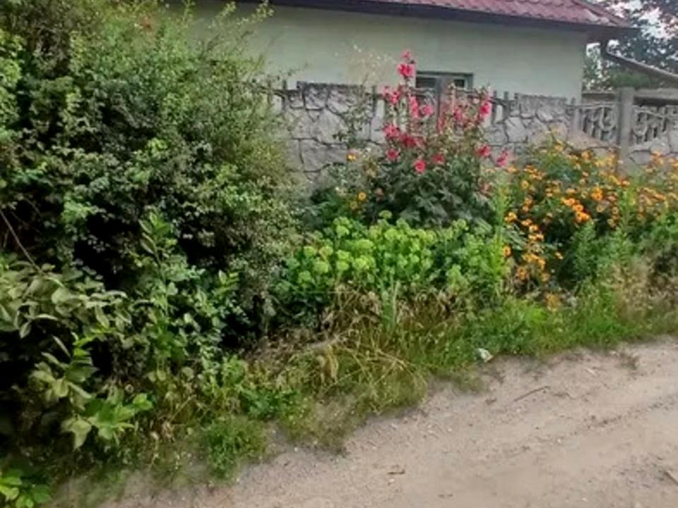 1872748094199068