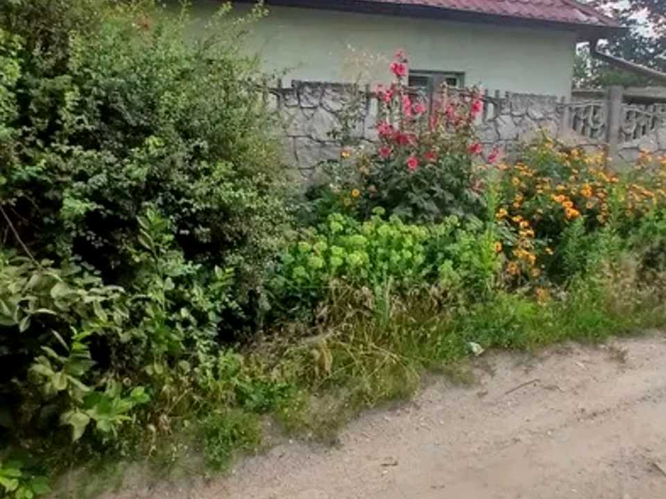 1872838862971668