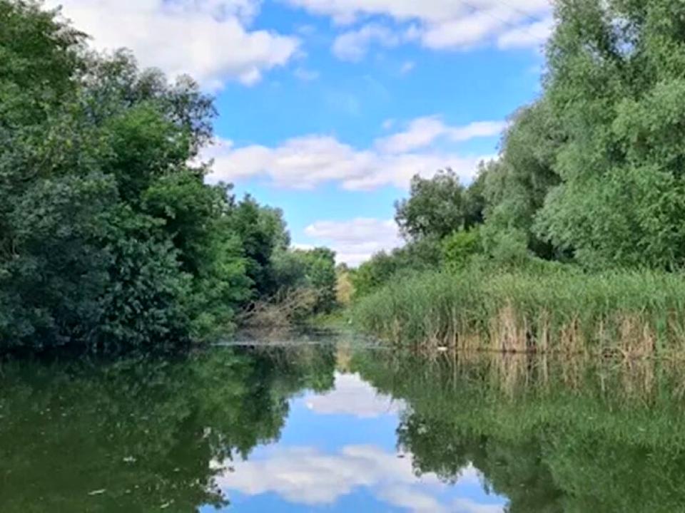 1873145572268209