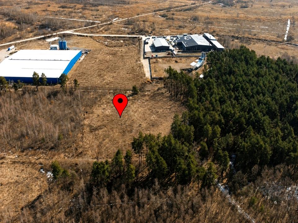 1873236665427811