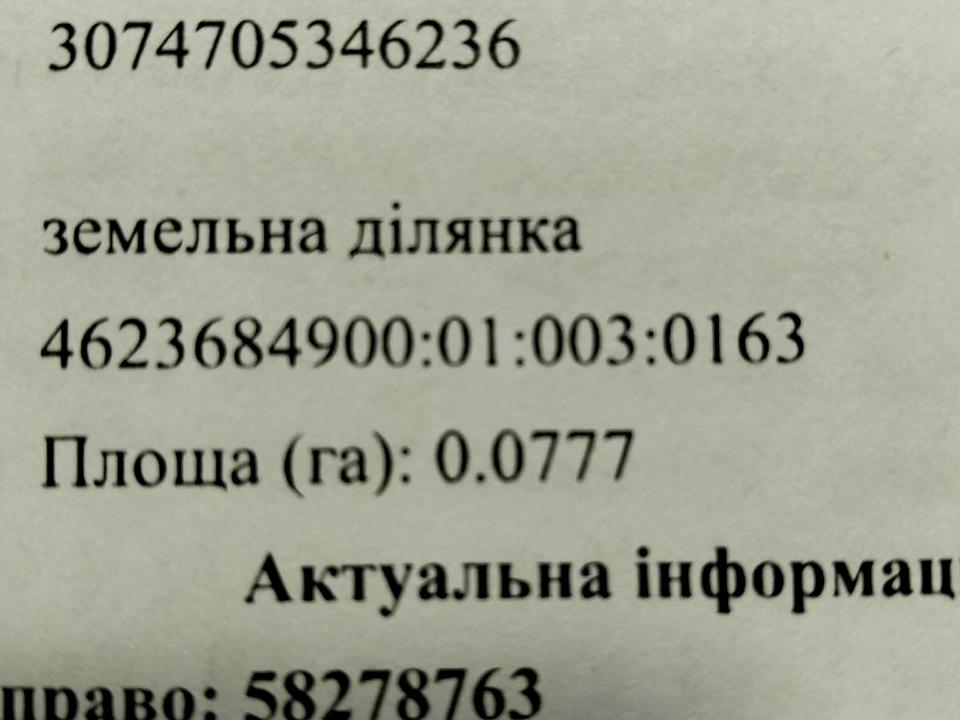 1873338124255282.jpg