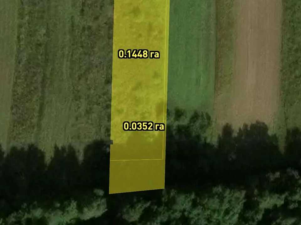 1873339646570268.jpg