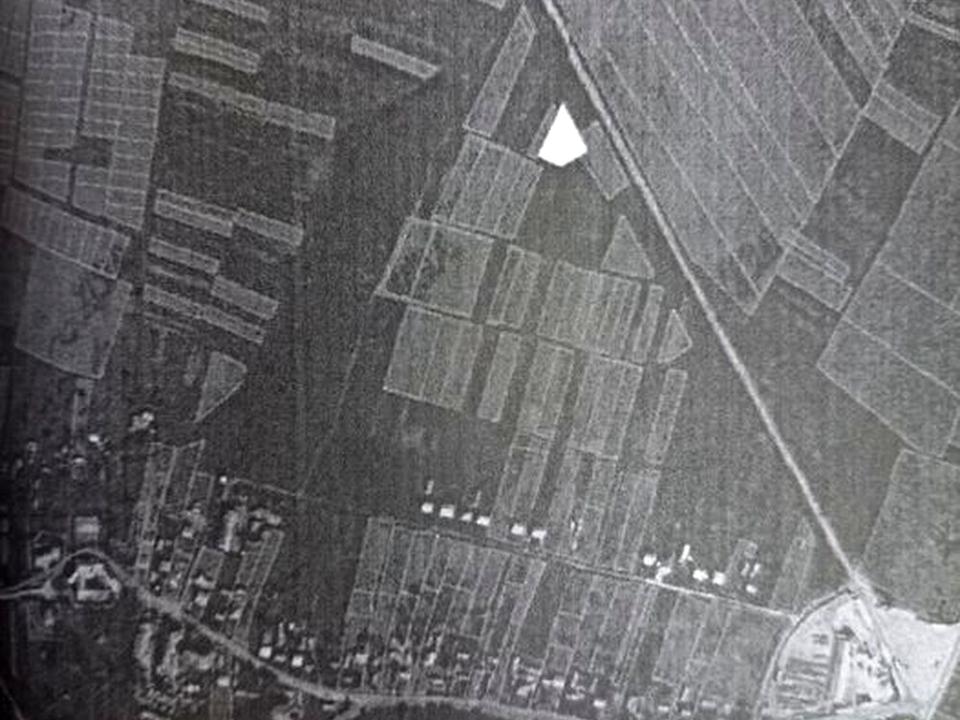 1873507144882901.jpg