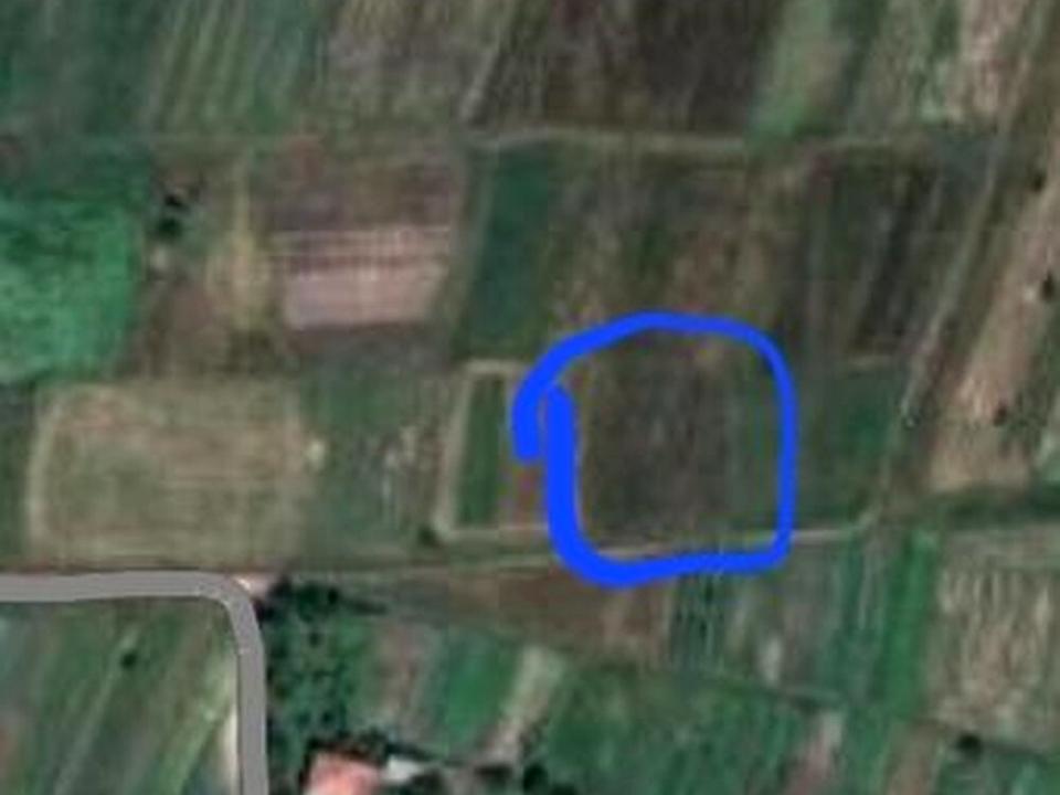 1873766314844075.jpg