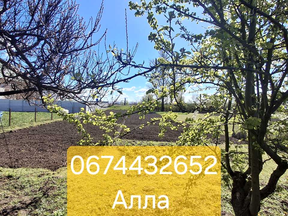 1873770289624654