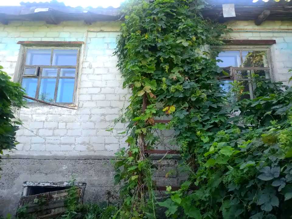 1873779332205988