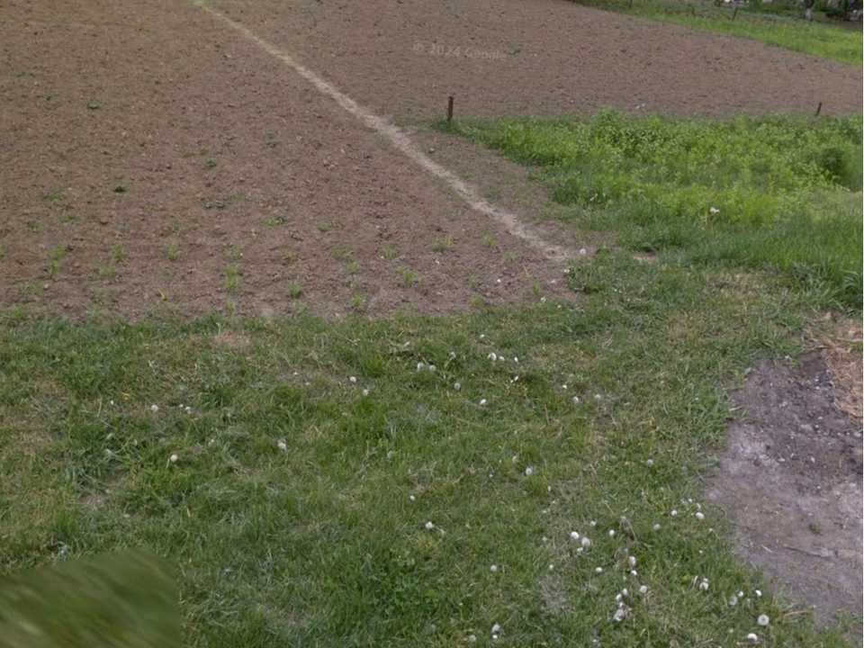 1873788729320217