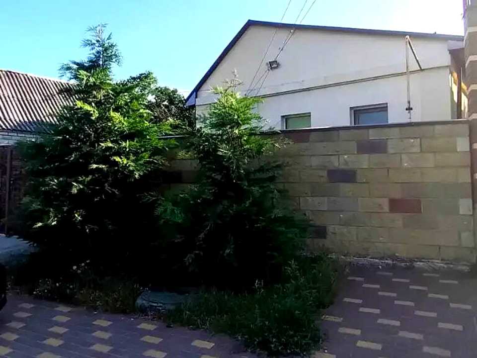 1873866503017099