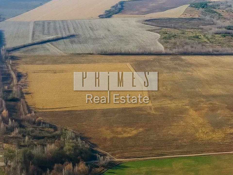 1873951233201258