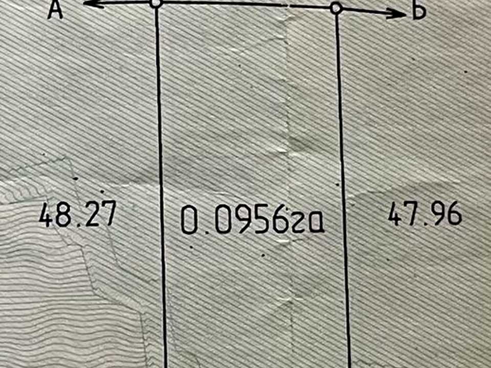 1874052864404843.jpg