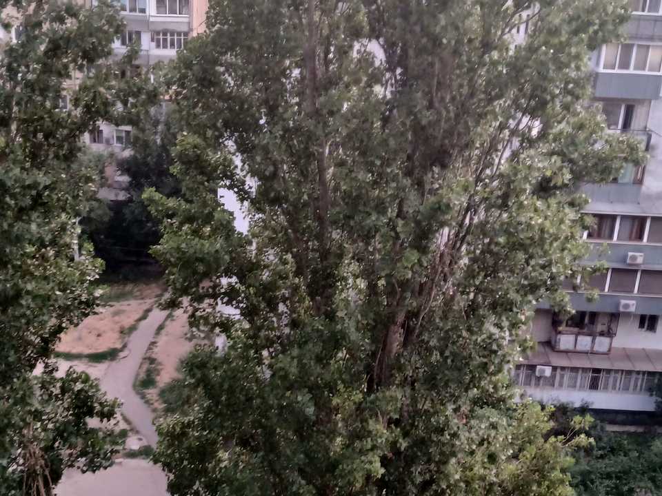 1874307694117581