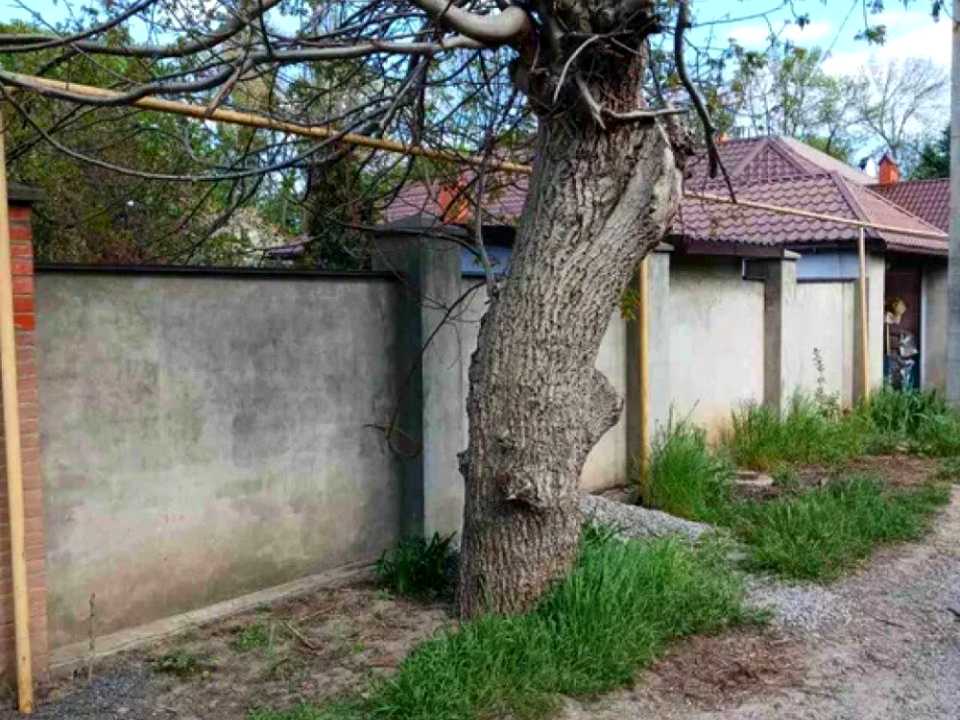 1874385650678423