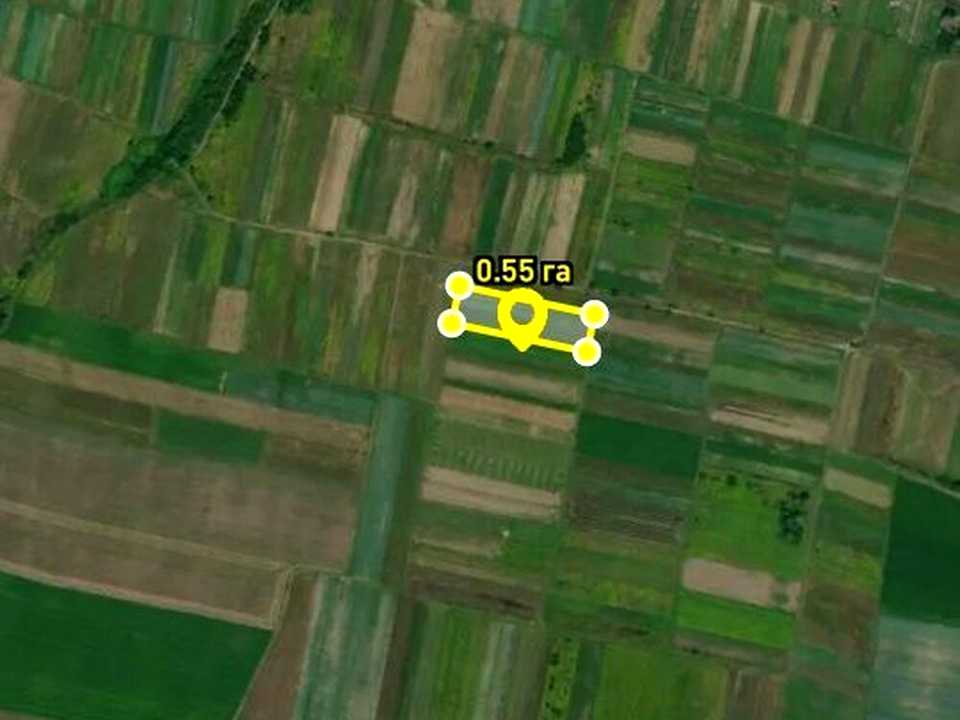 1874785372405933.jpg