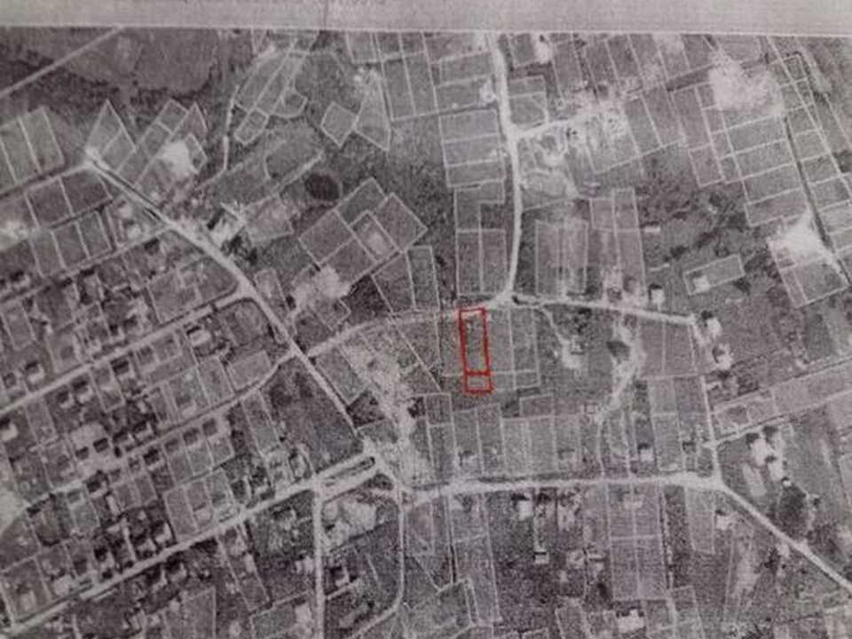 1874953398688576.jpg