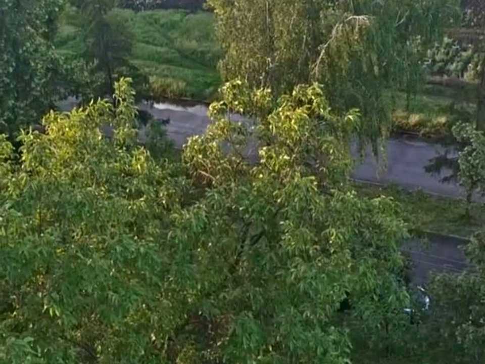 1875026432337046