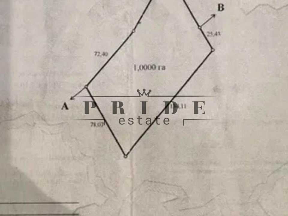 1875042364819162