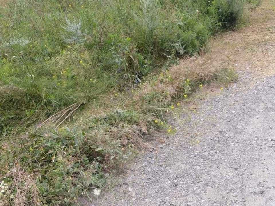 1875122655043464