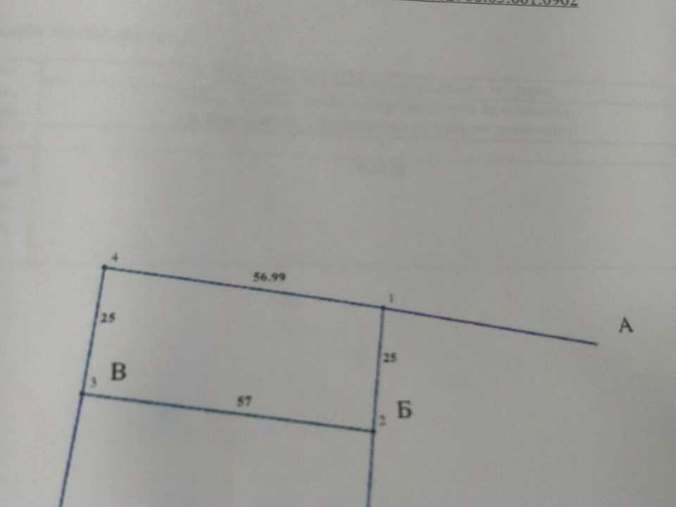 1875125262108564.jpg