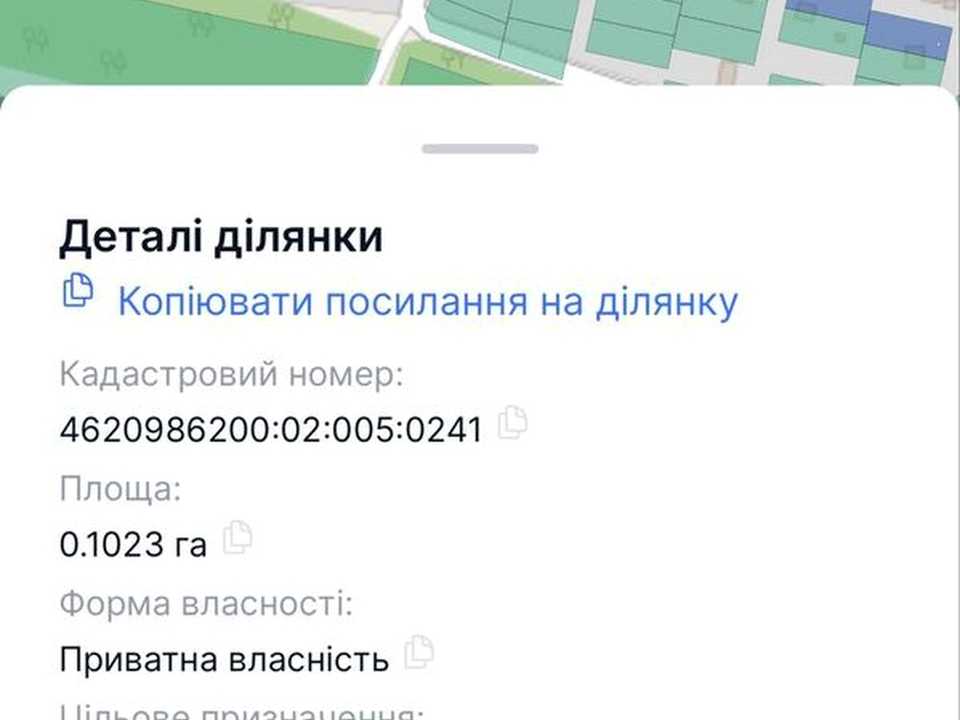 1875135090343796.jpg