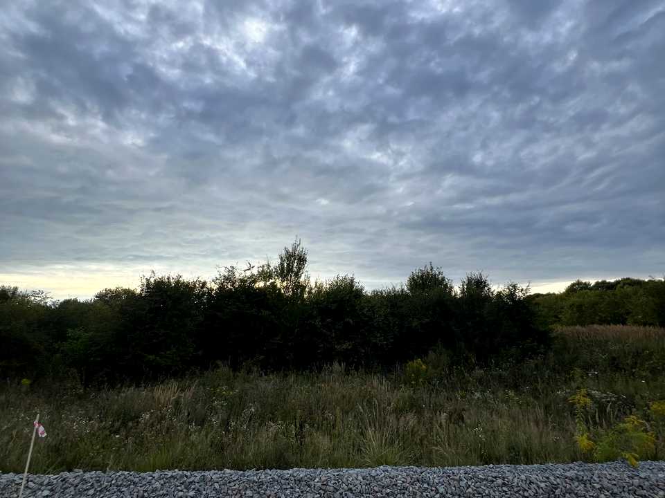 1875421863033466