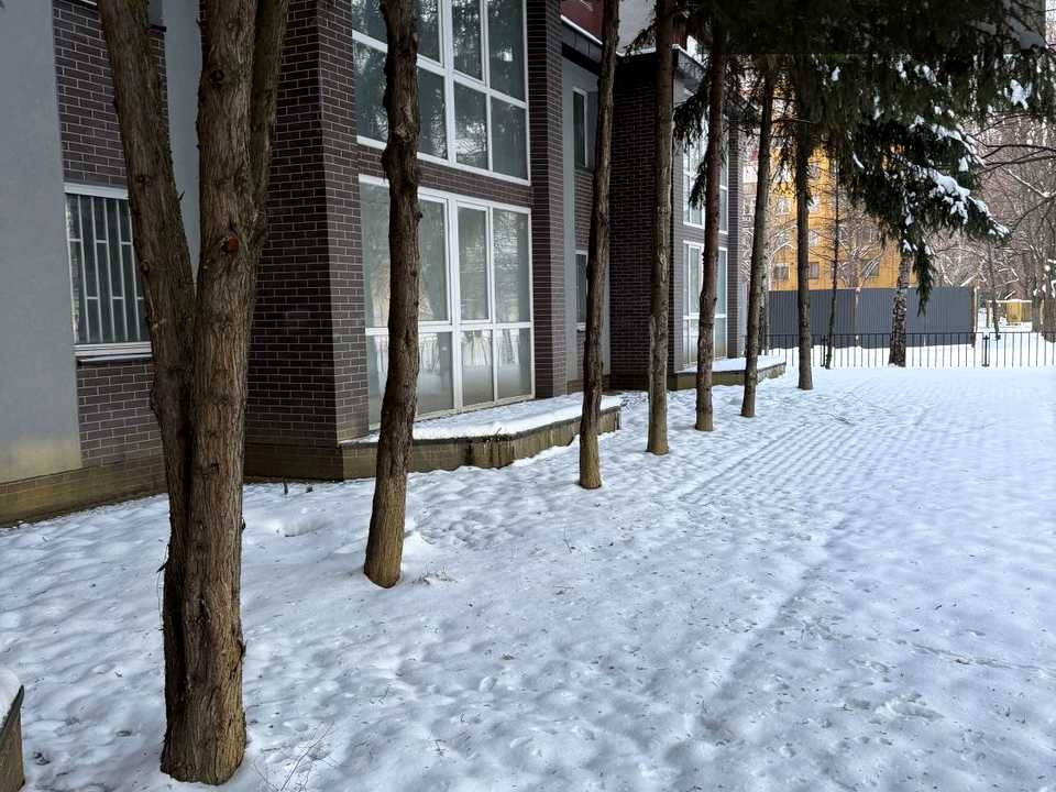 1875491200181012.jpg