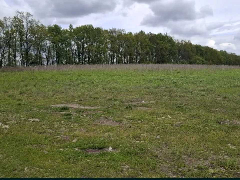 1875767872417969