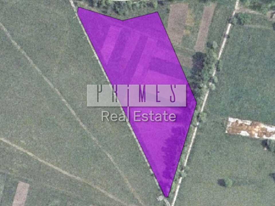 1875863052987525