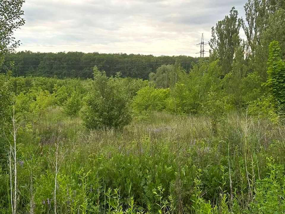 1875877456420550