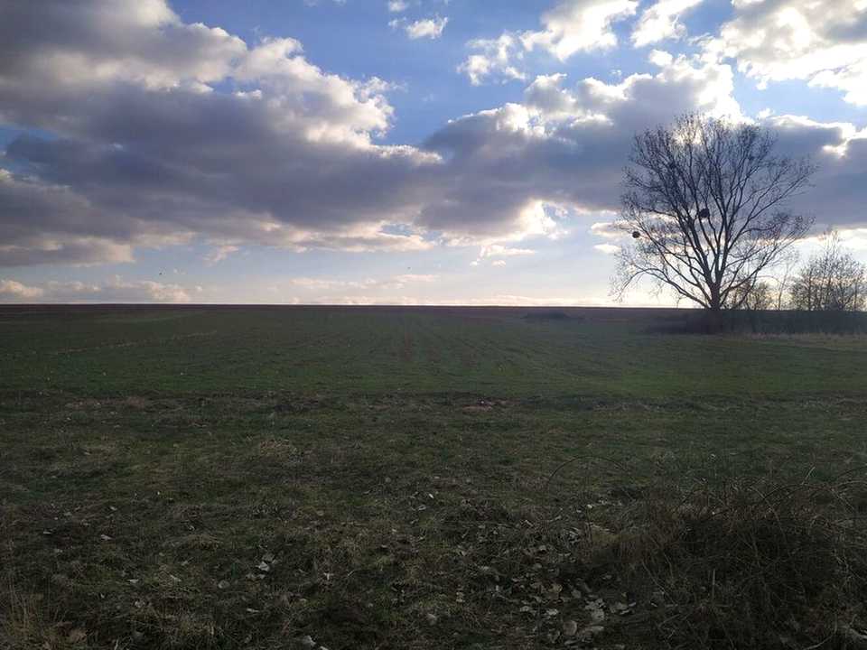 1875949932255450.jpg