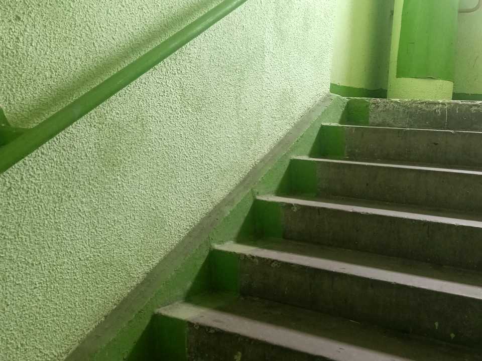 1876282547553006