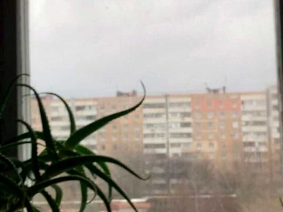1876479457649006