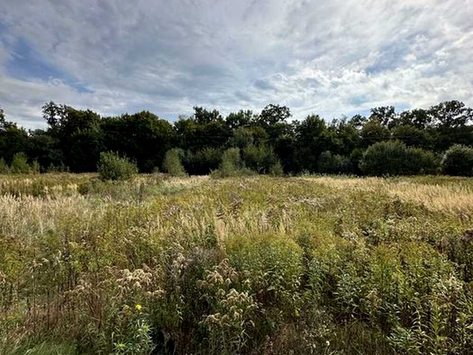 1876567459732703.jpg