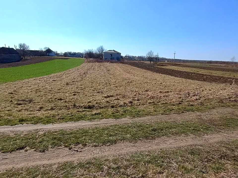 1876567561338167.jpg