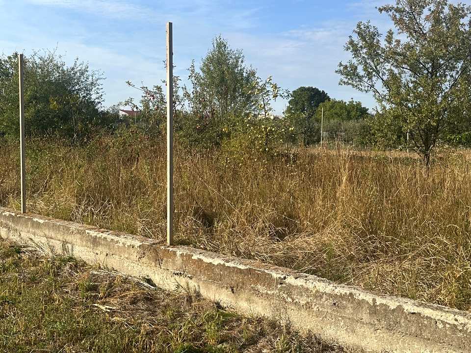 1876685312873728