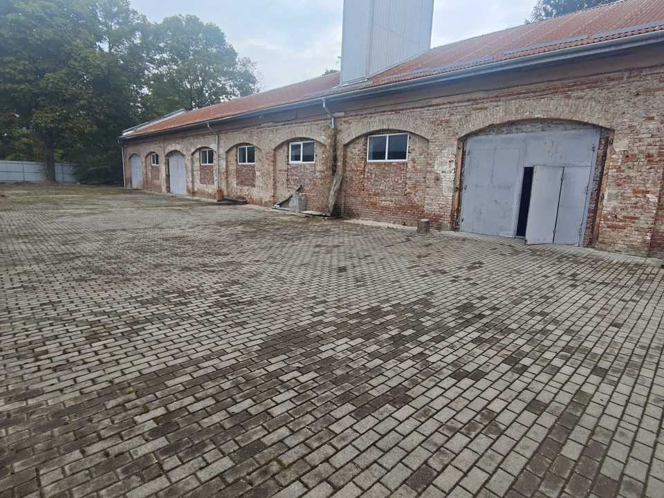 1876706646964033